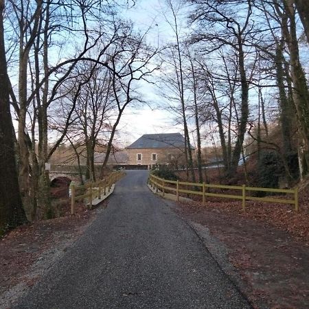 לינה וארוחת בוקר Saint-Aubin-des-Landes Le Moulin De Bretigneul מראה חיצוני תמונה