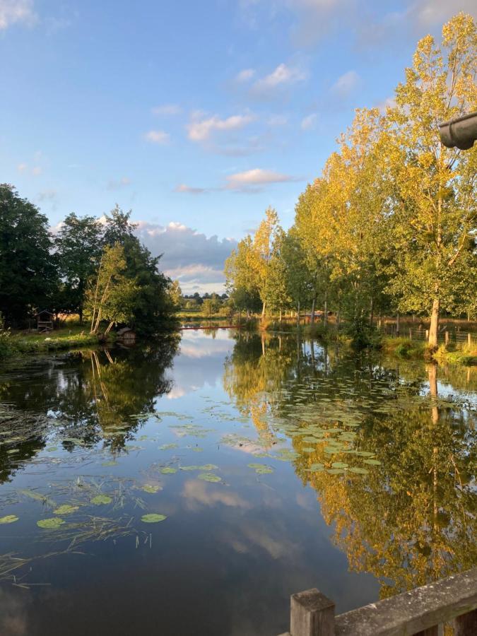 לינה וארוחת בוקר Saint-Aubin-des-Landes Le Moulin De Bretigneul מראה חיצוני תמונה