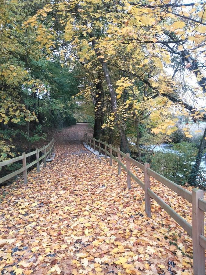 לינה וארוחת בוקר Saint-Aubin-des-Landes Le Moulin De Bretigneul מראה חיצוני תמונה