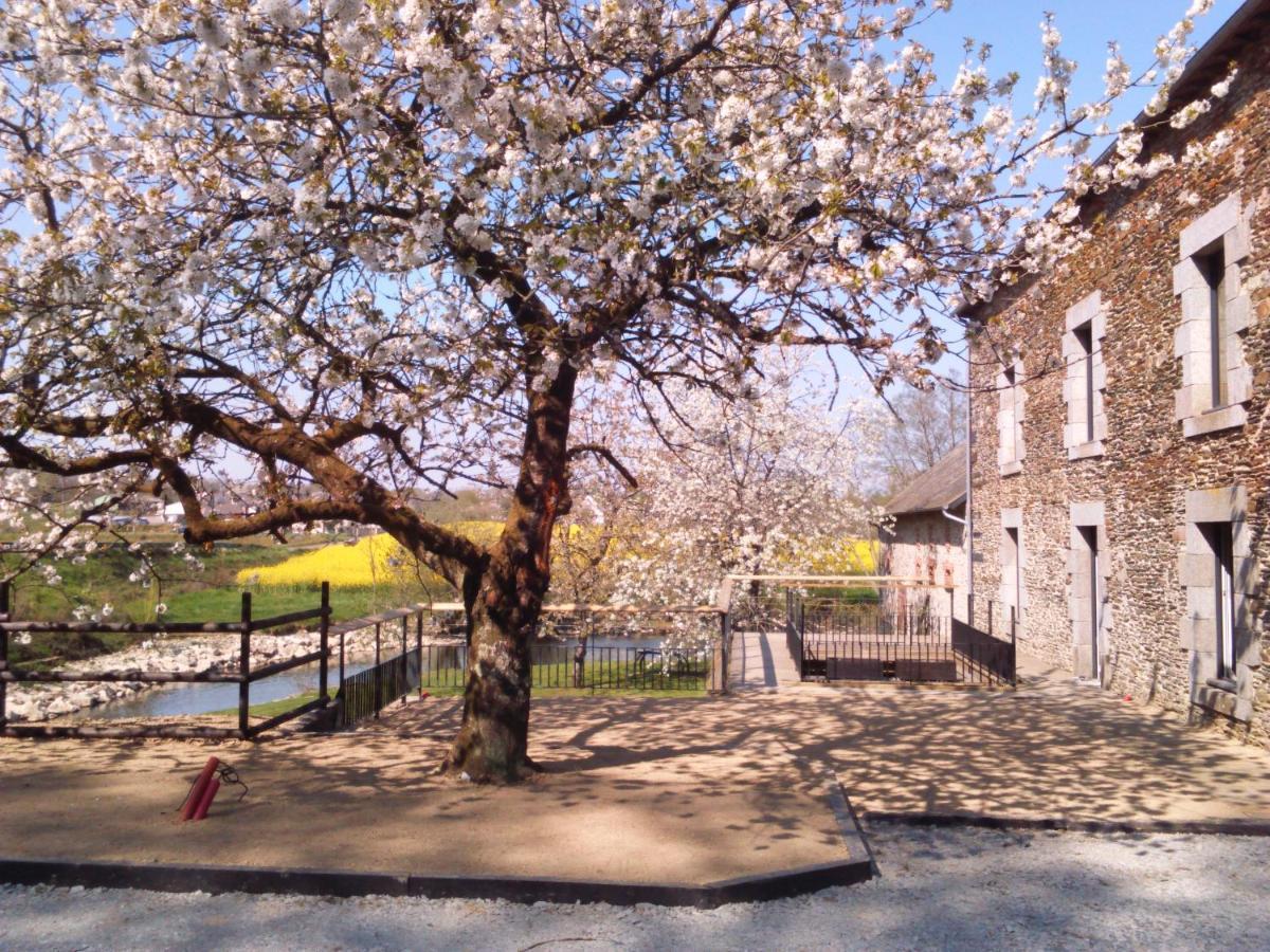 לינה וארוחת בוקר Saint-Aubin-des-Landes Le Moulin De Bretigneul מראה חיצוני תמונה